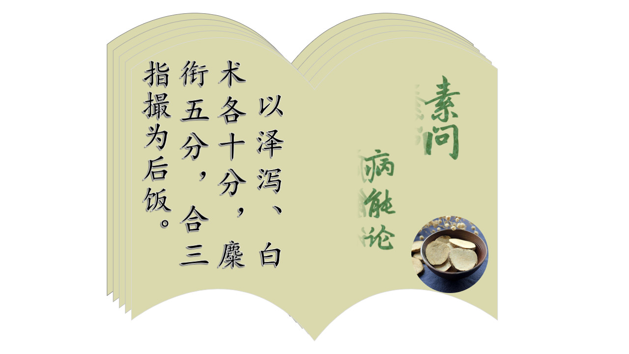 泽泻白术配伍分析