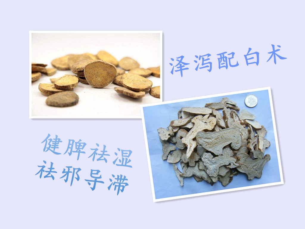 古方,所以在临床治疗其他湿热郁滞类疾病时常取泽泻,白术